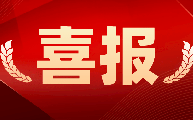 頂立科技獲“2023年湖南省制造業(yè)質(zhì)量標桿企業(yè)”榮譽